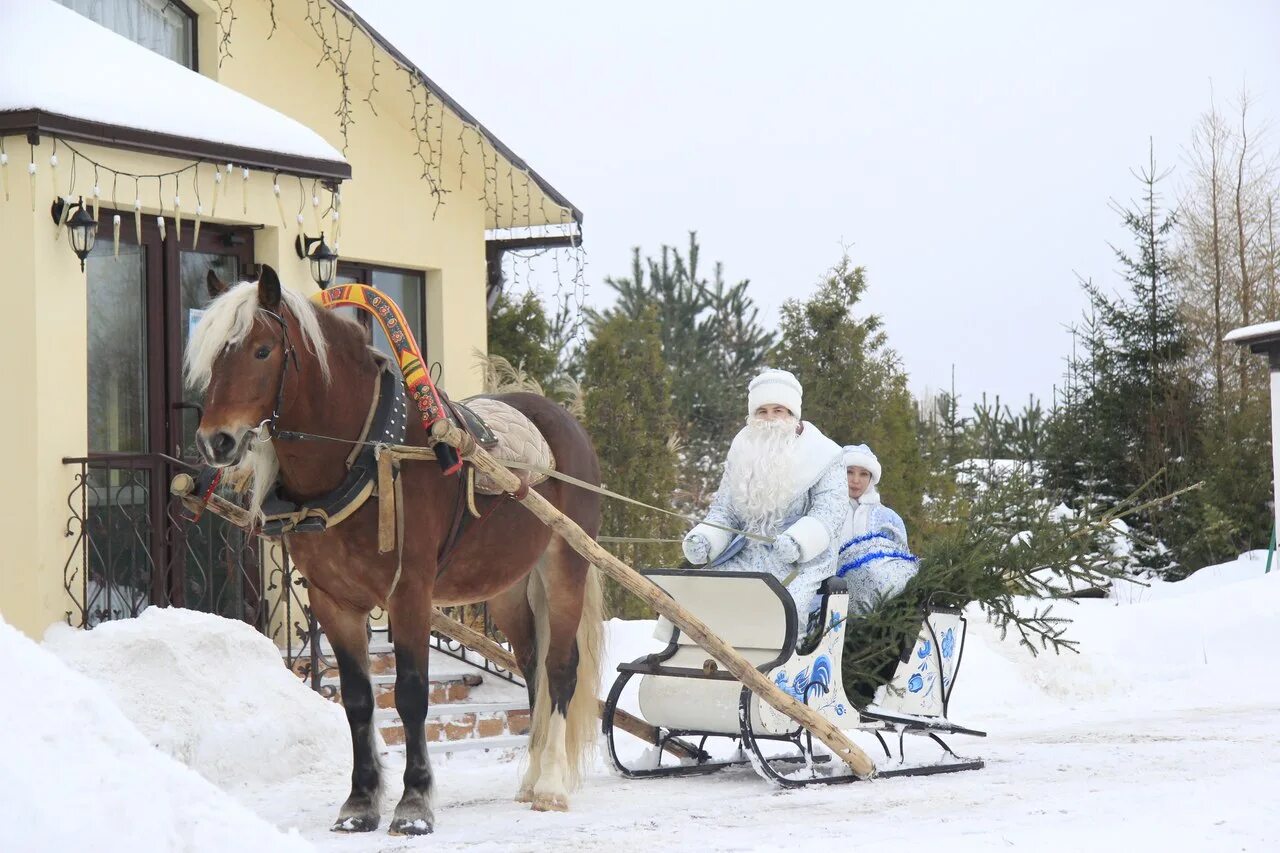 агроусадьба новый год. горка романов лес. агроусадьба вандроука в лиде отзывы. барская усадьба сабаево официальный сайт. терема тверь.
