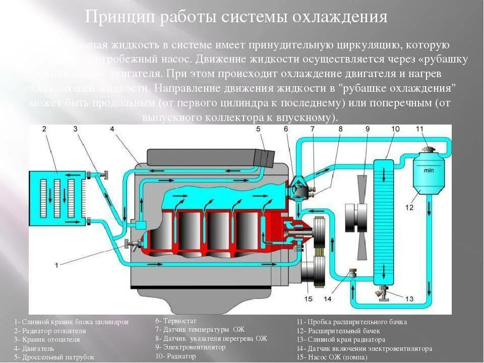 Как работает охладитель. Схема системы воздушного охлаждения дизельного двигателя. Схема жидкостной системы охлаждения двигателя. Система охлаждения двигателя автомобиля схема. Схема системы охлаждения с принудительной циркуляцией.