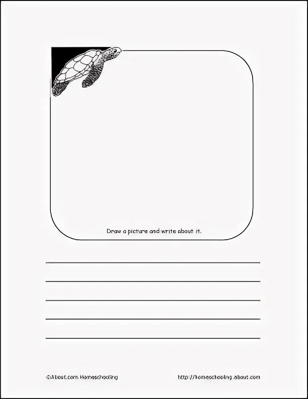Turtle write. Turtle write