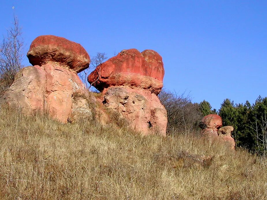Курортный парк, Красные грибы - Picture of Red Giant Stone Mushrooms, Kislovodsk