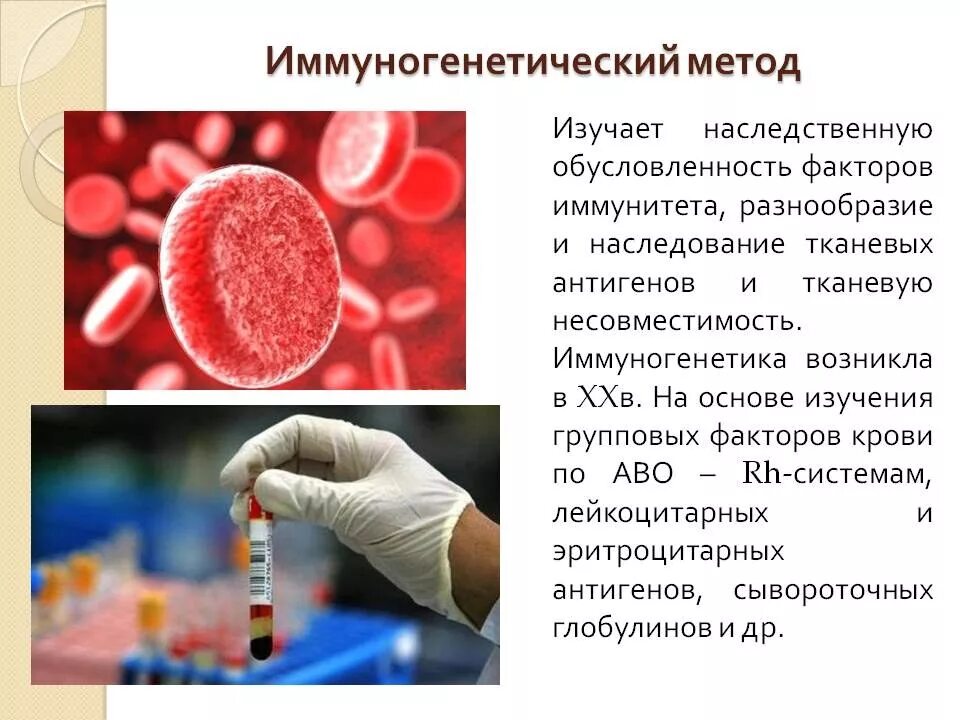 Иммуногенетический метод изучения наследственности человека. Иммунологический метод исследования генетики. Иммунологические методы исследования крови. Методы генетики человека иммунологический. Иммунные белки крови