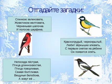 Загадки про птиц 4 5 лет