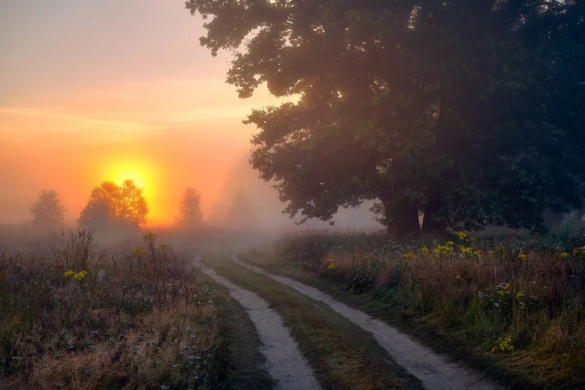 Лето жаркое грамматическая основа. Лето в деревне дорога. Летнее июльское утро ещё свежо грамматическая основа. Утро свежо вас обдает небо пышет. Цитаты про упущенный шанс.