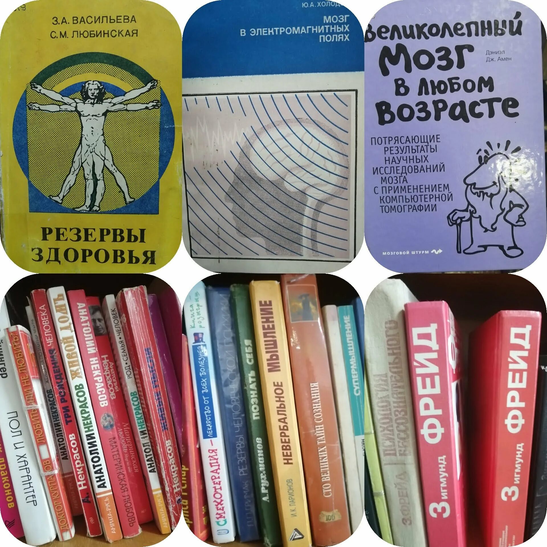 Всемирный день мозга. Всемирный день мозга открытка. 22 Июля праздник Всемирный день мозга. Всемирный день мозга поздравления. Когда день мозгов