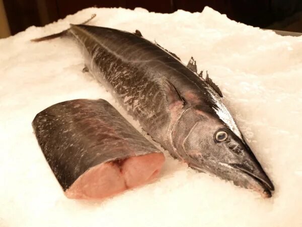Масляная - Компания Морской Берег Екатеринбург: продажа рыбной продукции оптом и