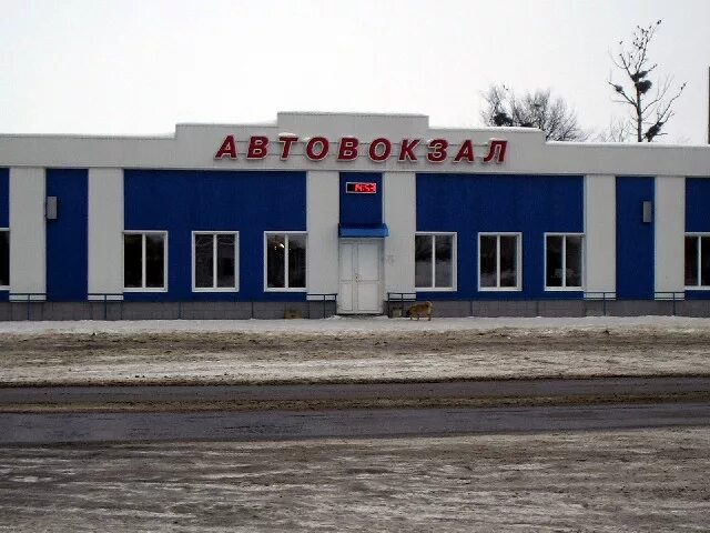 Город Спасск Рязанский Рязанской области. Автостанция Спасск. Автостанция Спасск Рязанский.