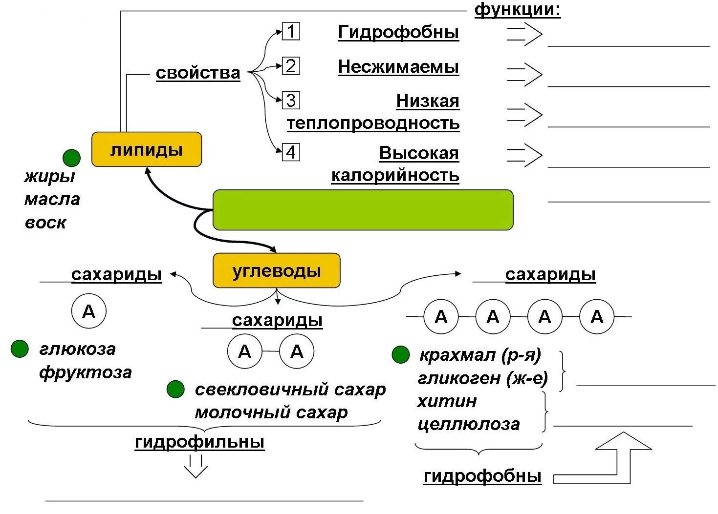 Углеводы липиды строение. Интеллектуальная карта липиды. Функции липидов в организме таблица. Классификация липидов по химическому составу. Опорные конспекты по биологии.