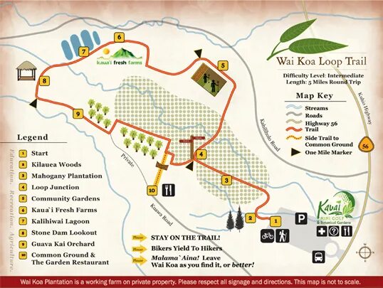 Trail loop m l. Trail loop. black gray trail loop. trail loop orange/beige. trail loop перевод.