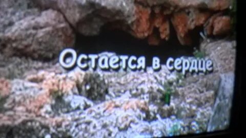 Минусовка песни до свидания