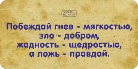 Копилка премудрости поговорила со свекровью