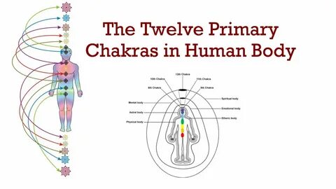 The 12 chakra system includes the 7 primary chakrs and 5 transpersonal chak...