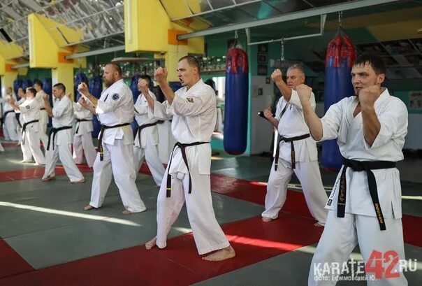 Ковычев сергей кекусинкай. Кекусинкай соревнования кемерово. Фото с семинара по каратэ. Карате в сибгиу. Каратэ 42.