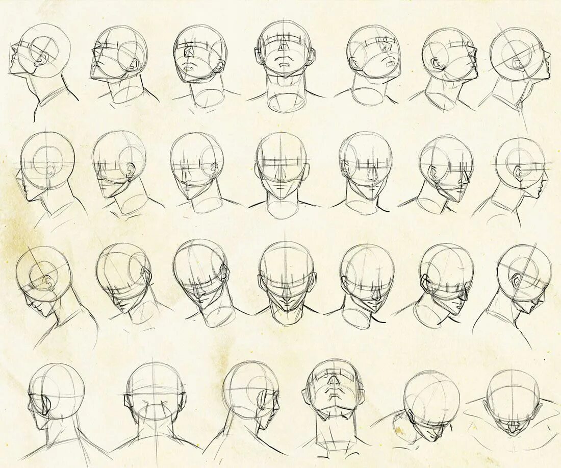 Голова референс референс. Head poses. Head poses. Лицо с разных ракурсов. Head poses.