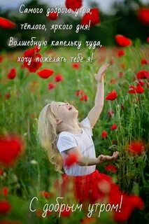 Маленькие радости в жизни человека