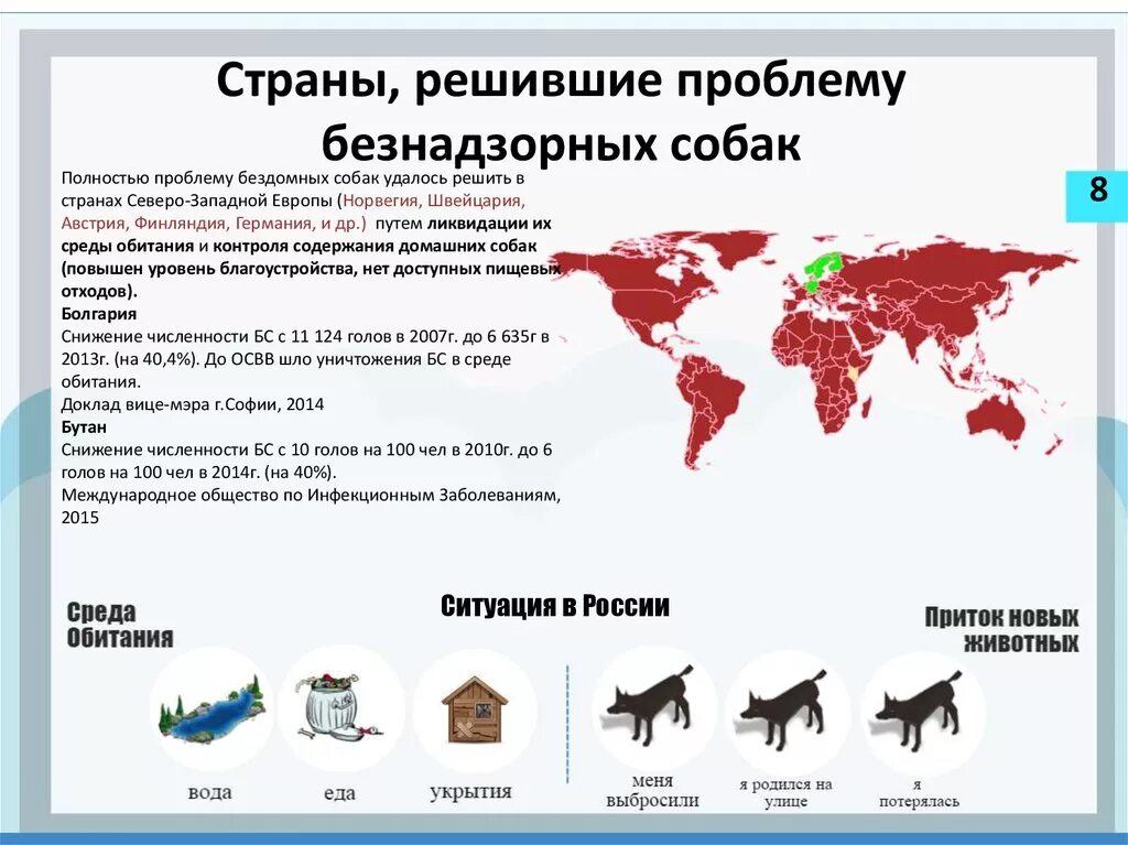Проблемы содержания собаки