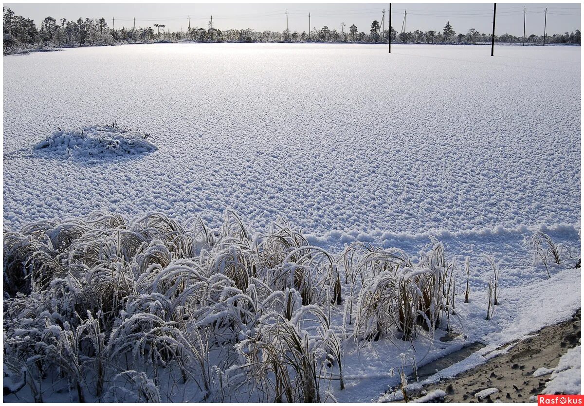 Изморозь на озере. Осенние сумерки. Зима озеро. Река зимой. Зимний пейзаж.