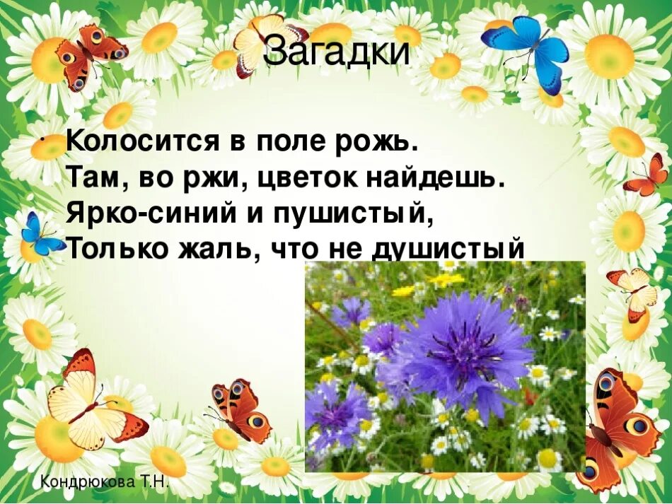 Загадки. Загадки о поле и цветах. Загадки о цветах. Загадки про цветы. Загадка ответ цветы для детей