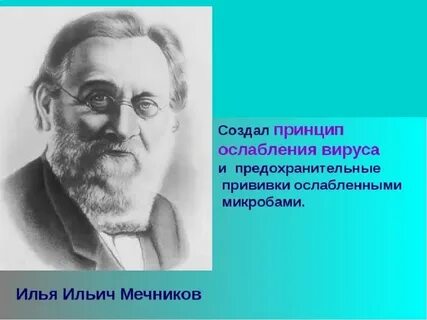 Организатор первой