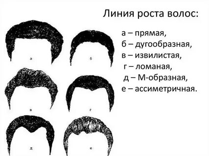 Линия роста волос
