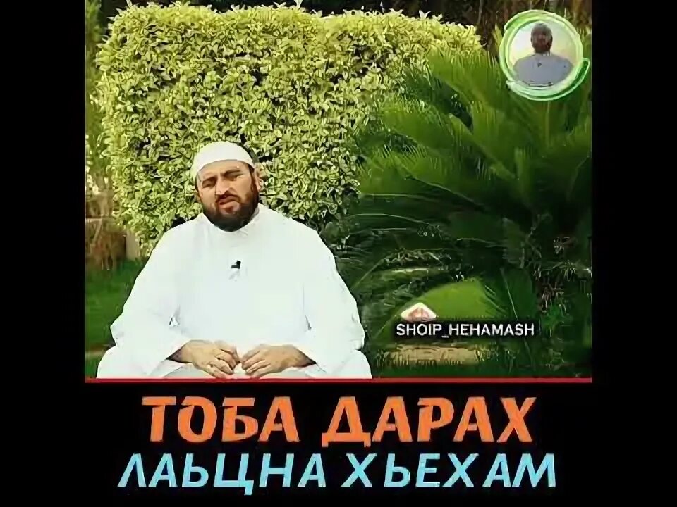 Тоба Муха да деза.