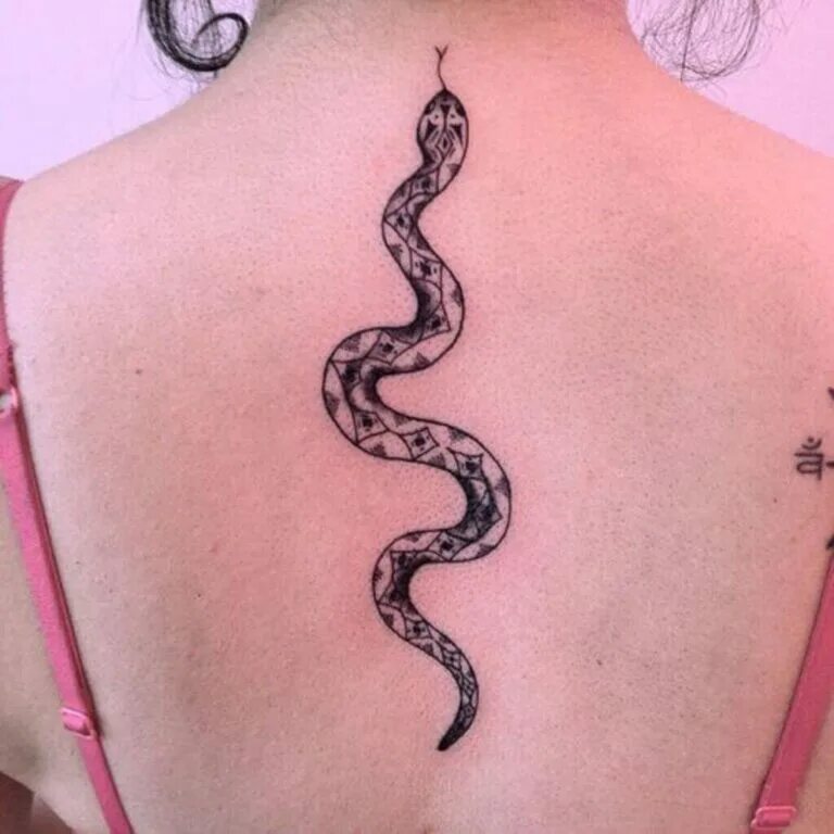 Snake back