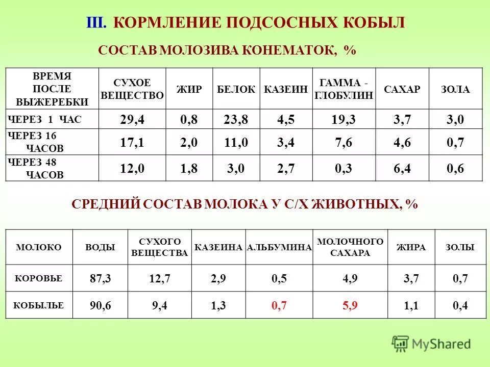 Кормление подсосных. Кормление подсосных