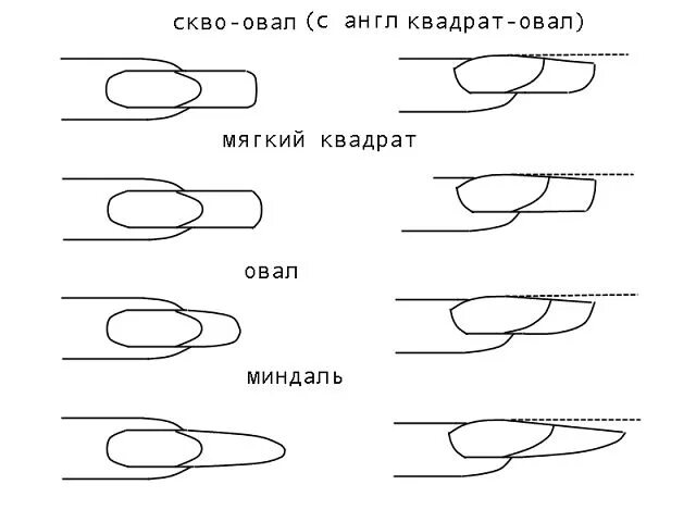 Правильная форма миндаль