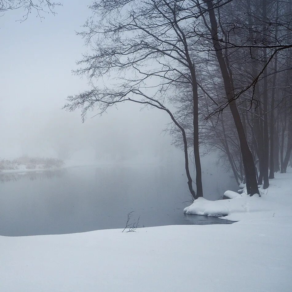 густой зимний туман. снежная пелена. туманный зимний день. туманное утро в зимнем лесу. морозное туманное утро.