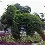 Зеленый слон в Ставрополе. Green elephant park