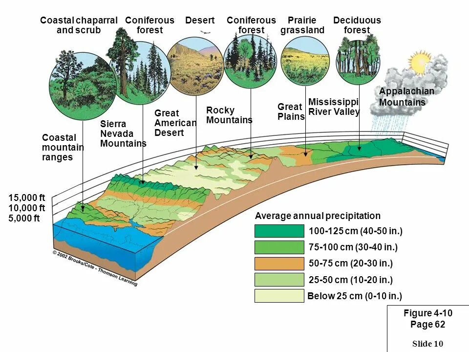 Основные биомы. Биомы земли. Основные типы биомов земли.