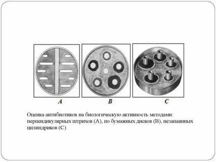 Методы определения антимикробной активности