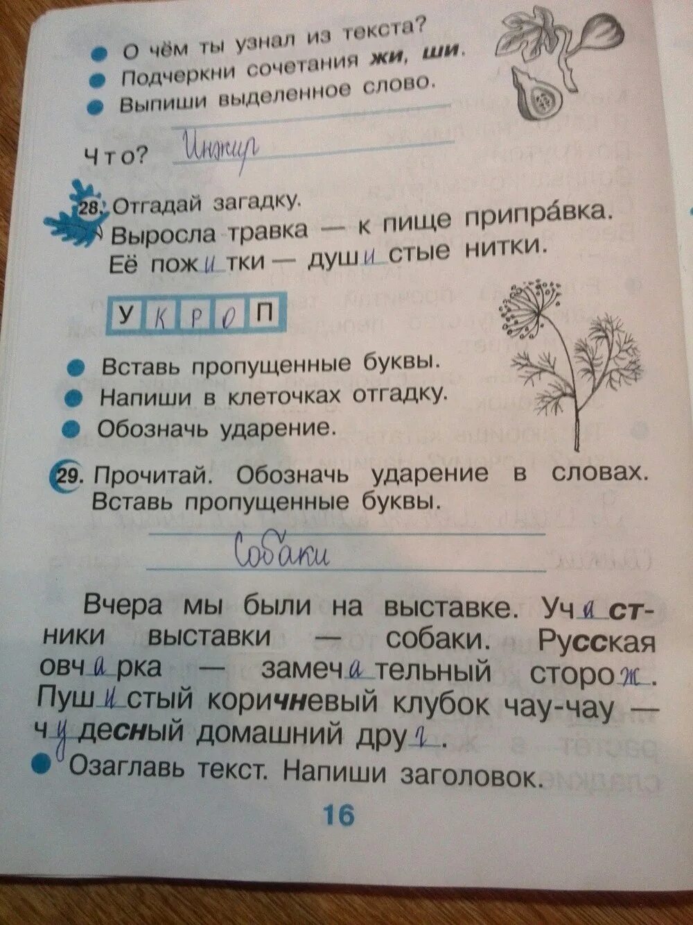 Русский язык 2 класс рамазаева страница. Русский язык рабочая тетрадь 2 класс страница 16. рабочая тетрадь по русскому языку класс стр 16. рабочая тетрадь по русскому языку 2 класс рамзаева. русский язык 2 класс рабочая тетрадь стр 16.