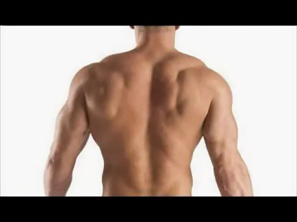 Back ref