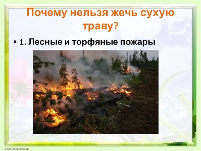 Не жгите сухую траву. Лесные и торфяные пожары. Нельзя жечь траву. Почему нельзя жечь траву. Нельзя сухую траву.