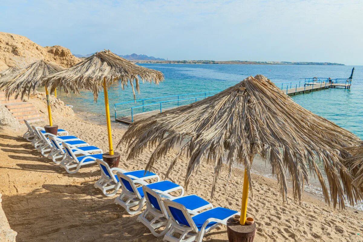 Sharm Club Beach Resort. Sharm Club Beach Resort (ex. Labranda Tower Sharm) 4*. Monte Carlo Sharm Resort 5* Deluxe. Sharm Club Beach Resort (ex. Labranda Sharm Club) 4*, Garden STD Room,. Шарм клуб бич