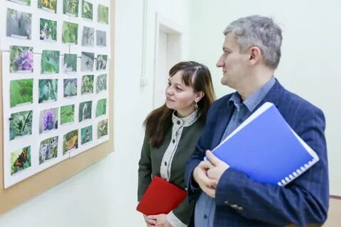 Сайт вятгу