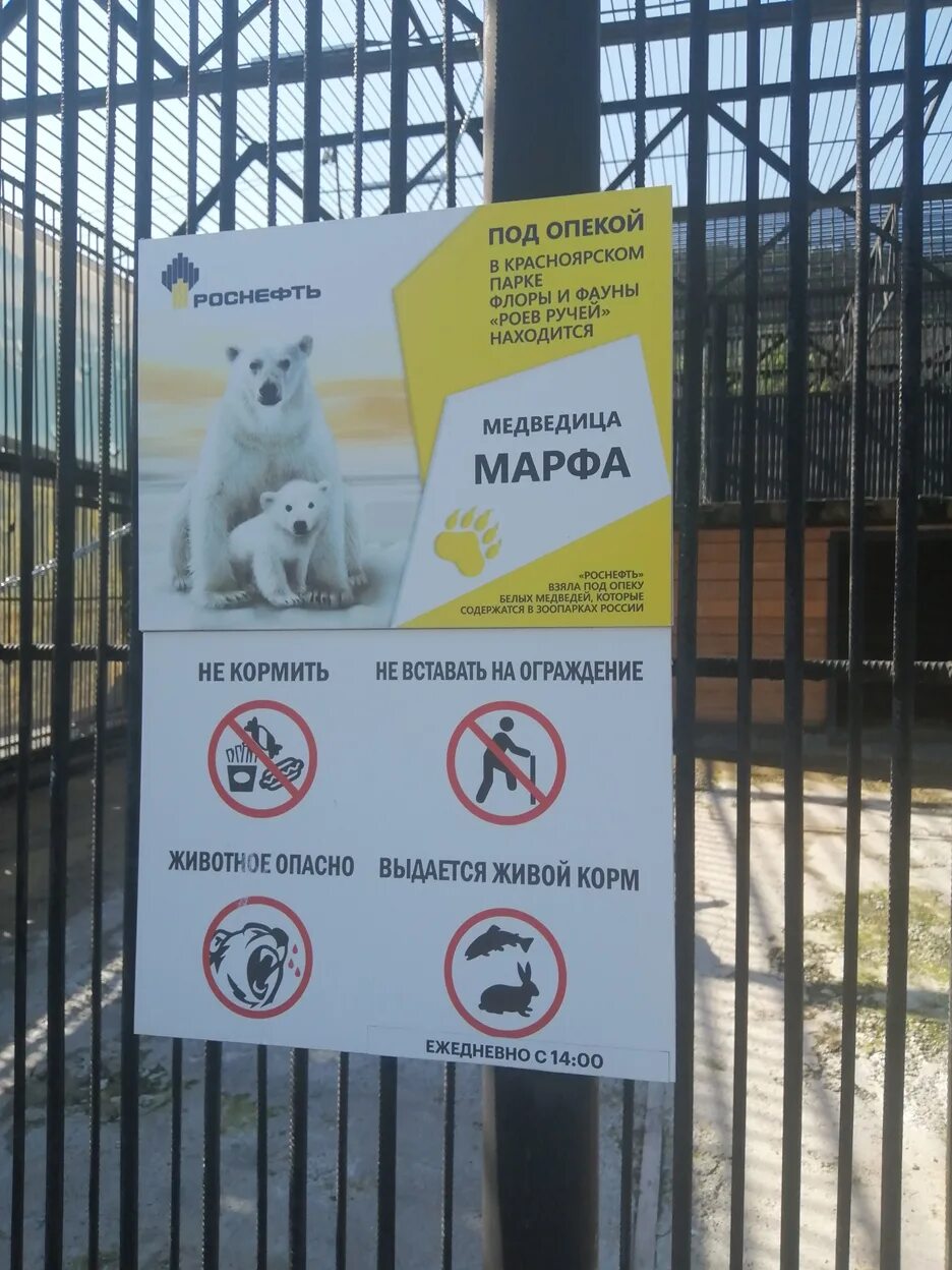 До скольки работает роев ручей. Зоопарк роев ручей красноярск. зоопарк красноярск роев ручей режим работы. роев ручей красноярск карта зоопарка. роев ручей схема парка.