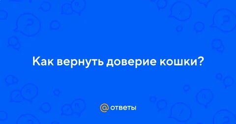 Как вернуть доверие собаки