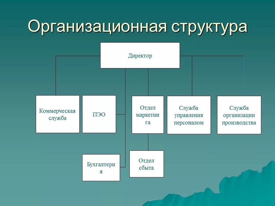 См вэд. Структура коммерческой организации. Структура управления коммерческой организации. Организационная структура коммерческого отдела. Организационная структура коммерческой службы предприятия.