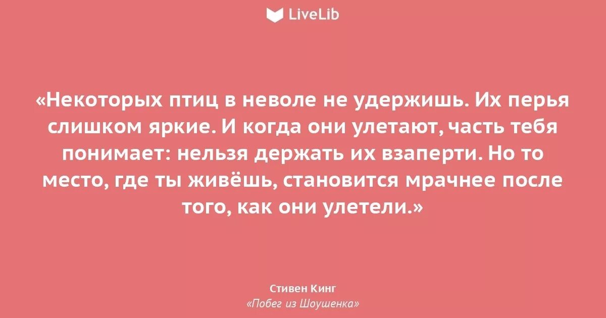 Стивен кинг цитаты. Стивен кинг цитаты из книг. Стивен кинг цитаты и афоризмы. Цитаты из книги оно стивена кинга. Стивен кинг цитаты.