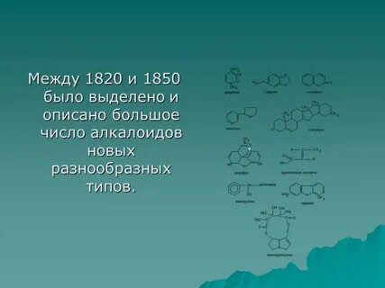 Азот органическая химия