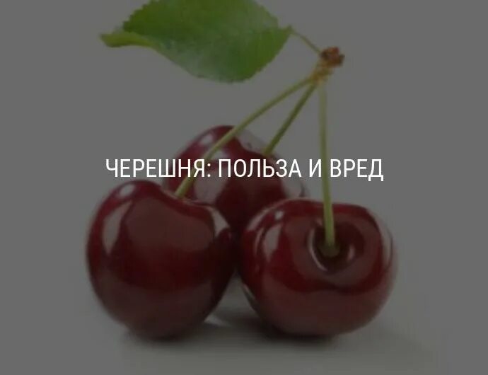 Польза черешни. Черешня калорийность. Черешня ккал. Черешня слабит. Калорийность черешни свежей.