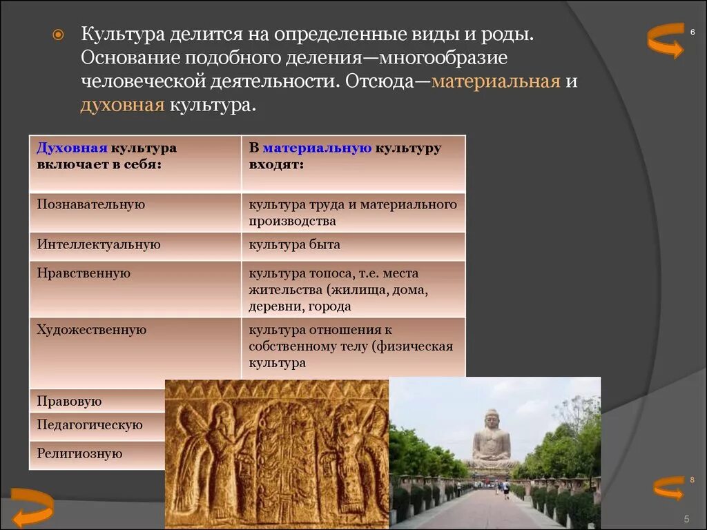 Человек в мире культуры обществознание 8 класс. Культура делится на. На что разделяется культура. Культура делиться на определенные культуры и роды. Кульуоа делиться.