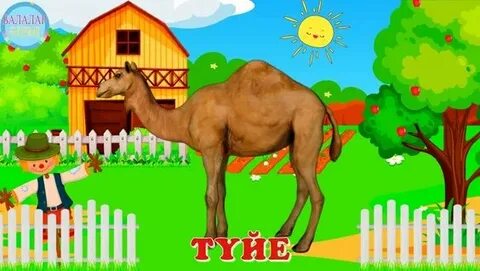 Жалаңаш әйелдердің жеке суреттері