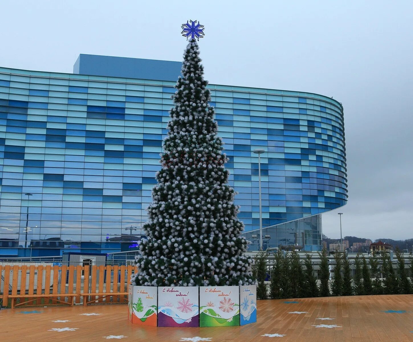 самые красивые новогодние елки. елка в олимпийском парке сочи. елка в сочи на навагинской 2022. городская елка сочи 2021. елка сочи 2022 центральная.