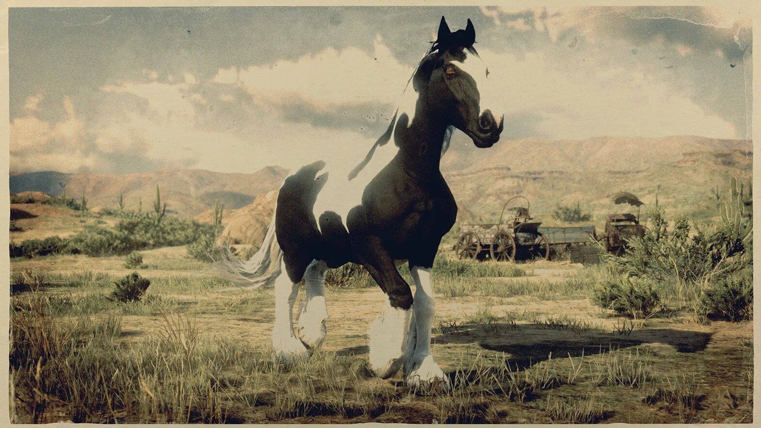 Рысак рдр 2. Норфолкский рысак red dead. rdr2 норфолкский рысак. креольская лошадь rdr2 online. red dead online креольская лошадь.