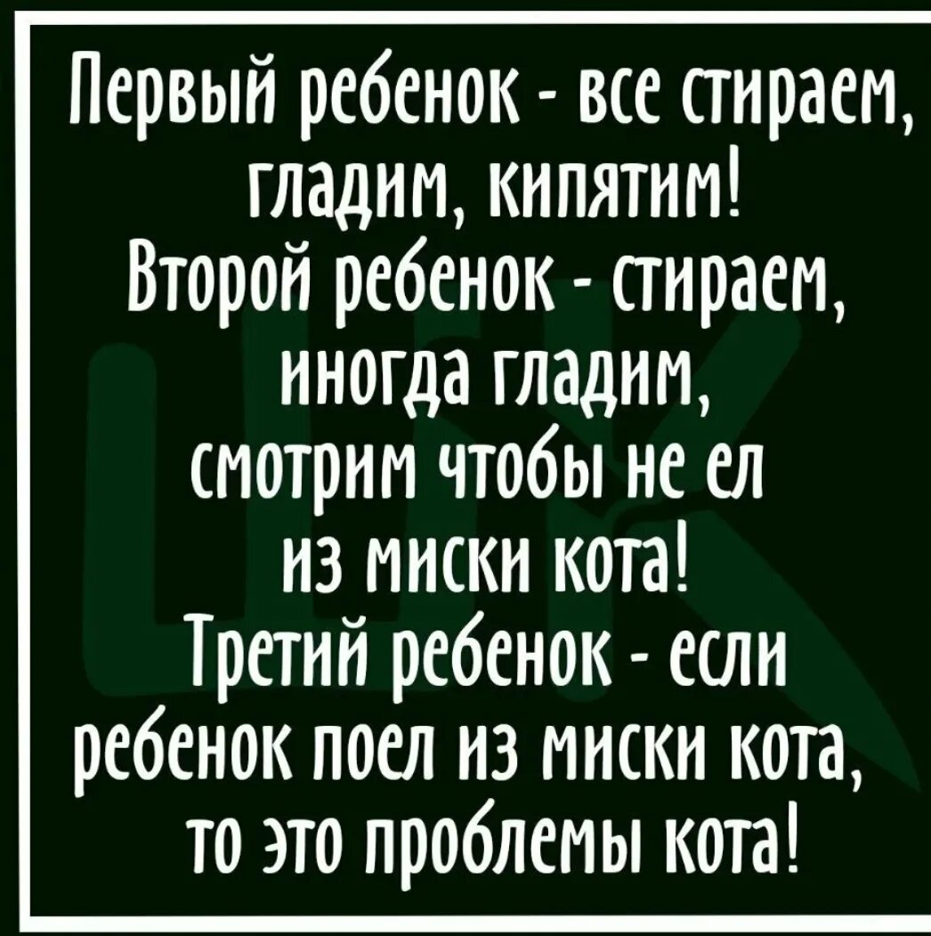 Приколы про первых. Анекдот первый ребенок все стираем. Первый ребенок стираем гладим кипятим второй ребенок. Первый ребенок все стираем гладим. Поел из миски кота проблемы кота.