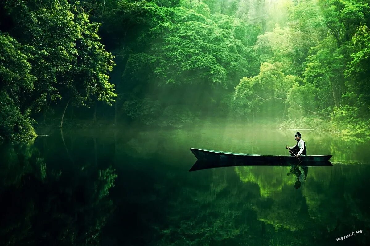 Успокаивающий пейзаж. Природа. Успокаивающий пейзаж. Очень успокаивающую. Пейзаж вдохновение.