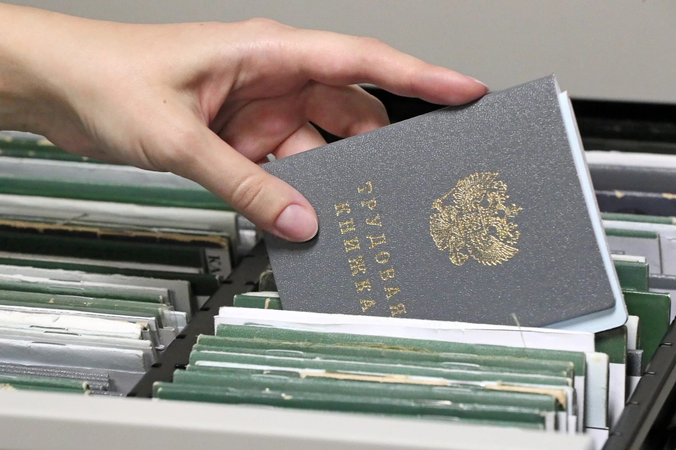 Онлайн сервис роструда. Роструд 2021. Роструд глава декабрь 2021. Роструд эмблема. Роструд картинки.