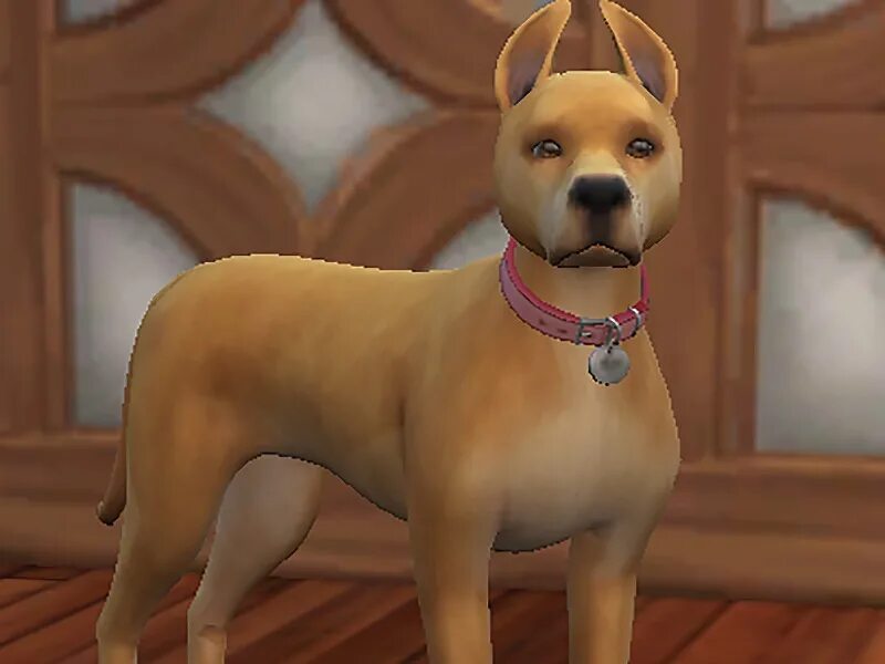 Wicked pets. Дог симс 4. Симс 4 питомцы. SIMS 4 Pets cc. Моды симс питомцы.